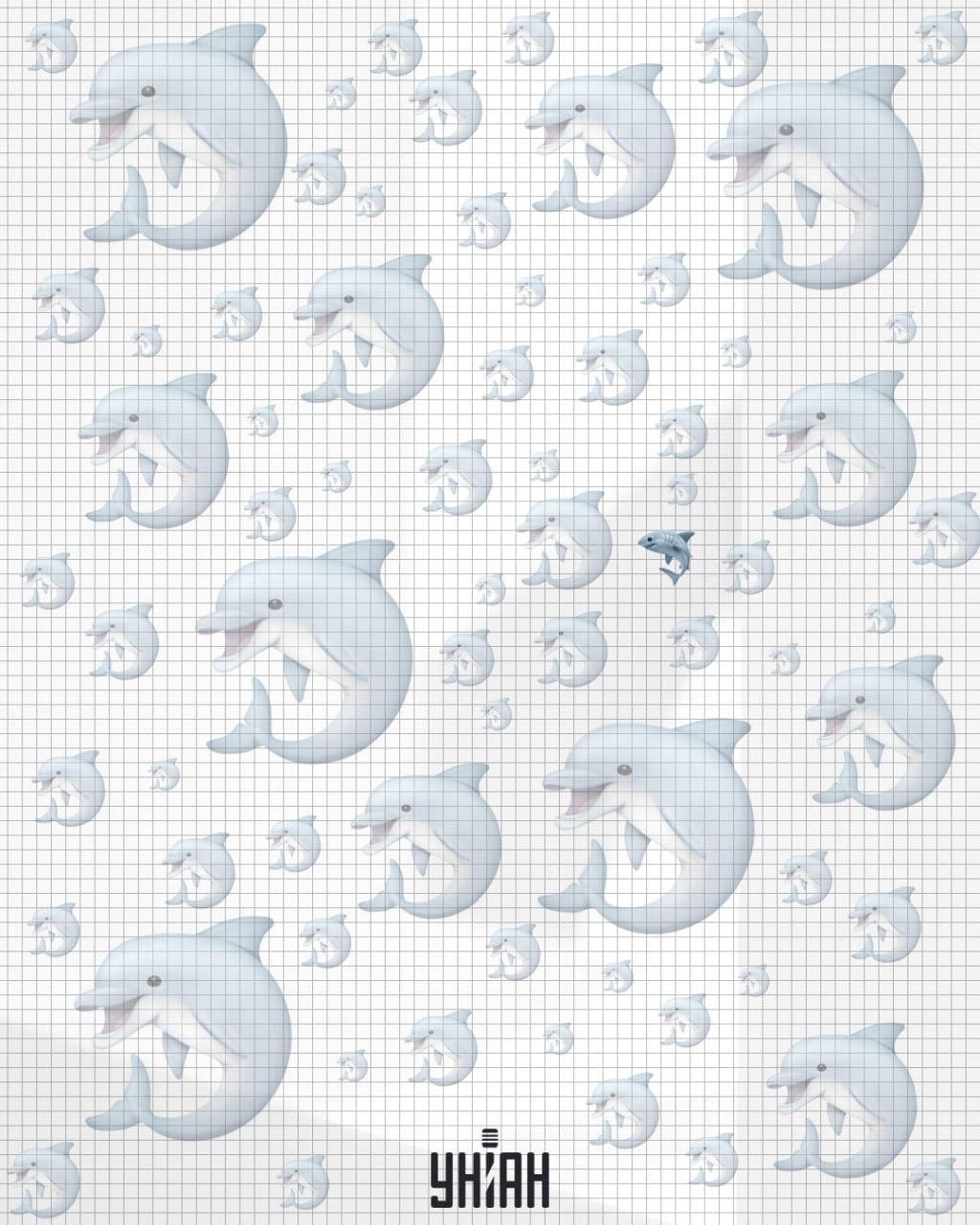 De haai bevond zich in het midden van de afbeelding / Moje collage