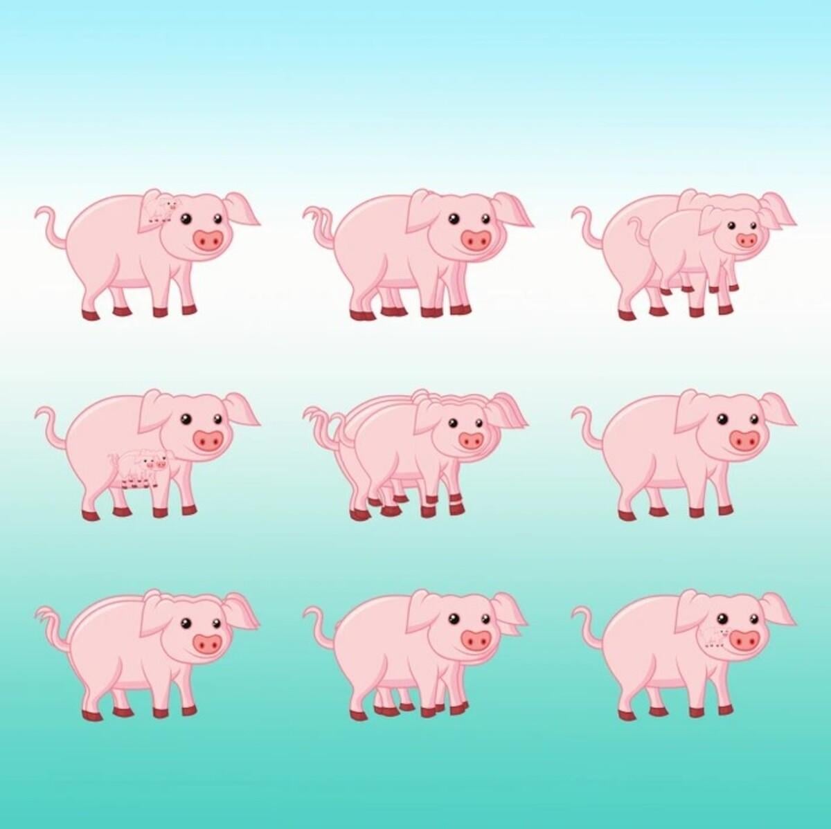 Als je de puzzel snel afmaakt, heb je een hoog IQ / Bright Side tekening