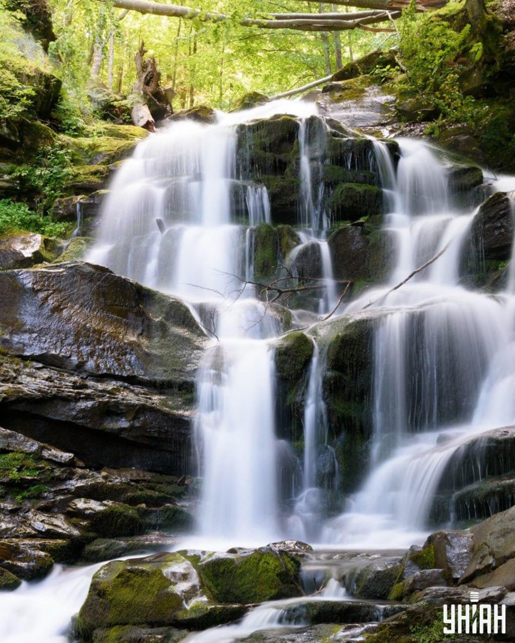 Een eekhoorn vinden op een lastige puzzel / Moje collage