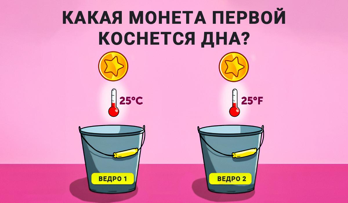 Test voor intelligentie en kennis van natuurkunde / collage Moje