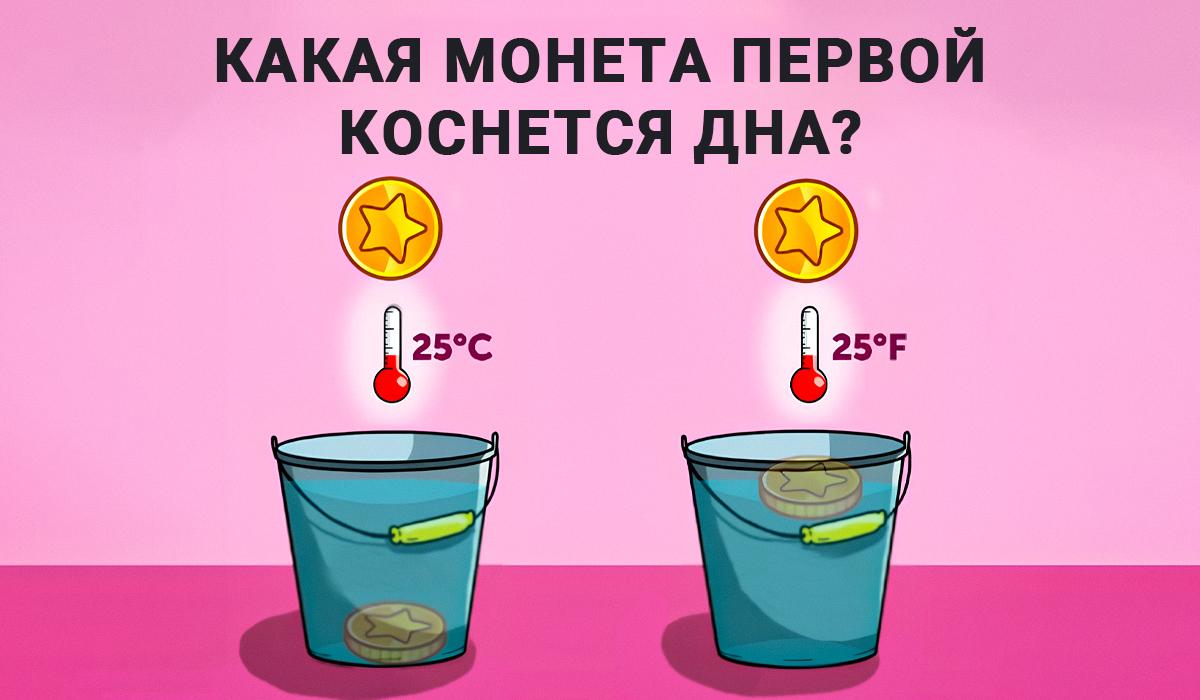 Antwoord op de IQ-test / collage Moje