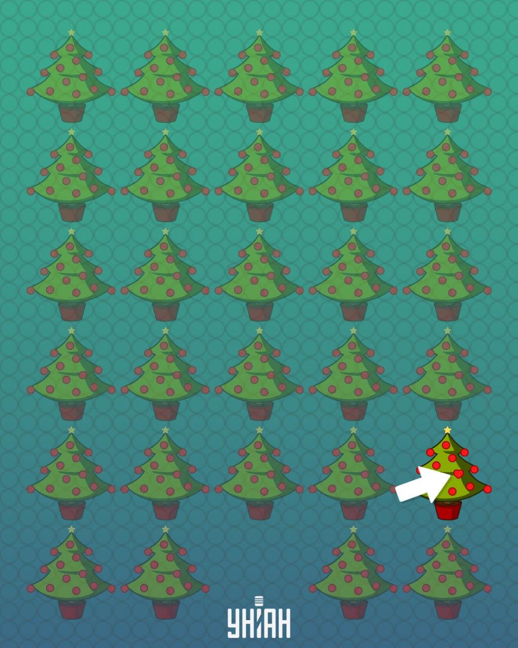 Antwoord / Moje foto