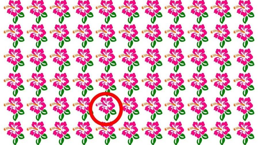 Het antwoord op de puzzel / foto door Fresherslive