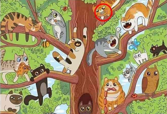 foto door Jagranjosh