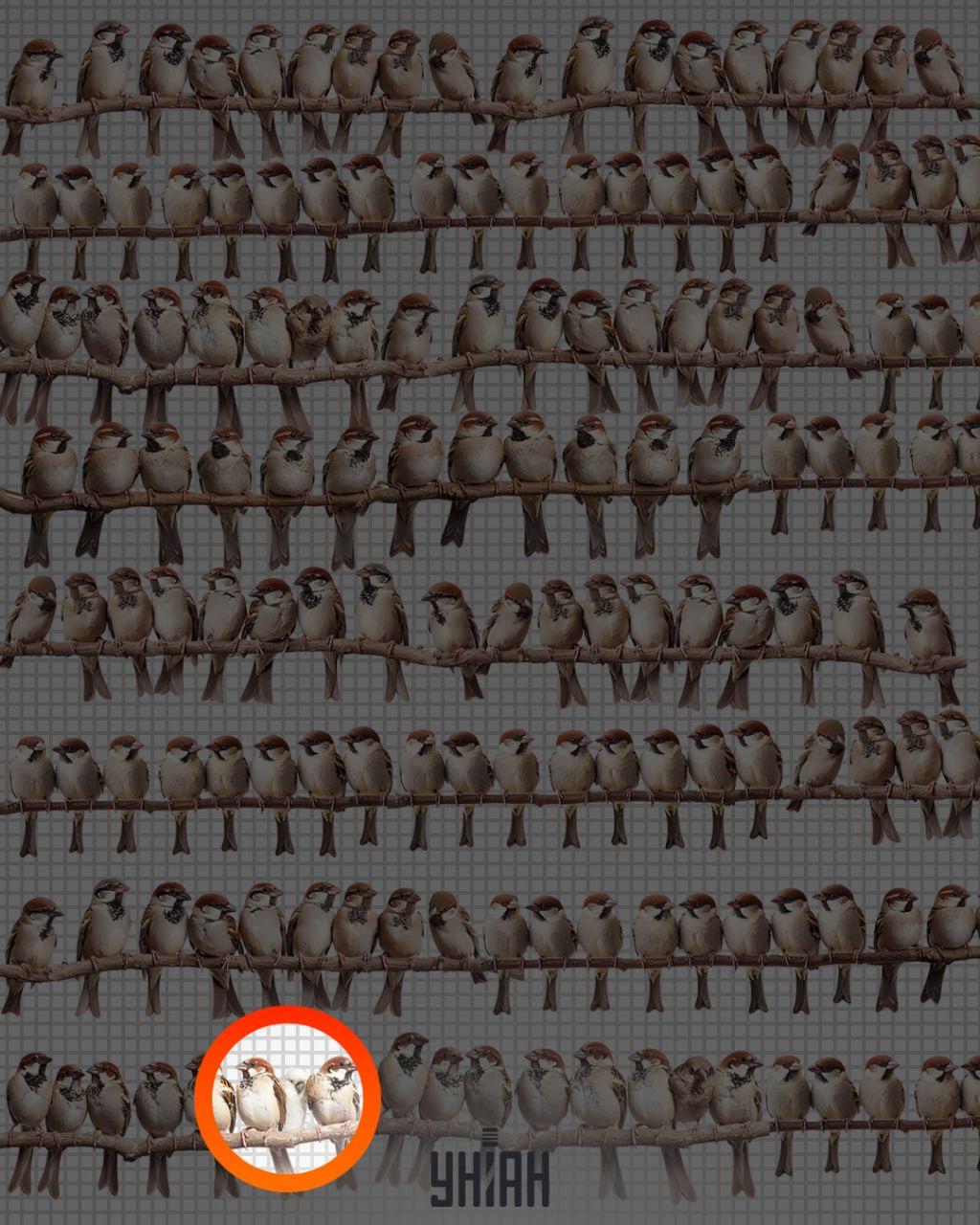 Antwoord / foto door Moje