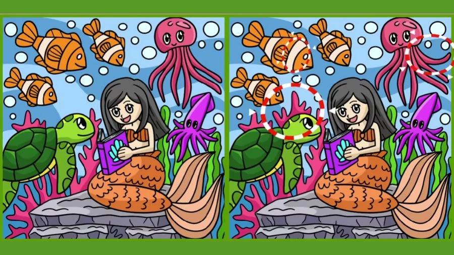 Oplossing / Fresherslive