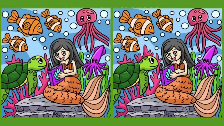 Puzzel / Fresherslive