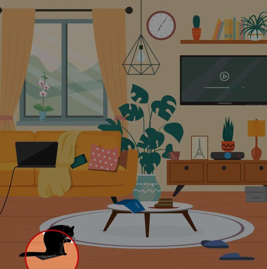 Hint / foto door Jagranjosh