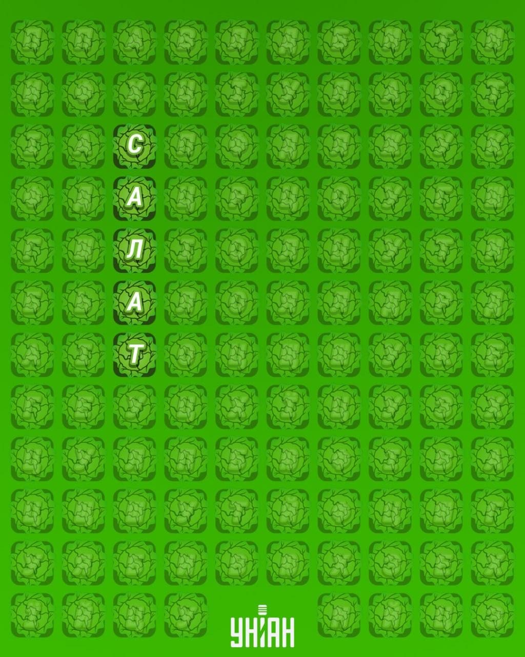 98% van de mensen kan het woord 'salade' niet vinden in 12 seconden: een zeer moeilijke puzzel