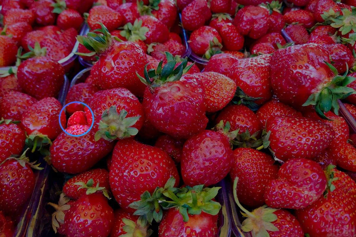 Frambozen staan bijna in het midden van de afbeelding / collage met Moje foto