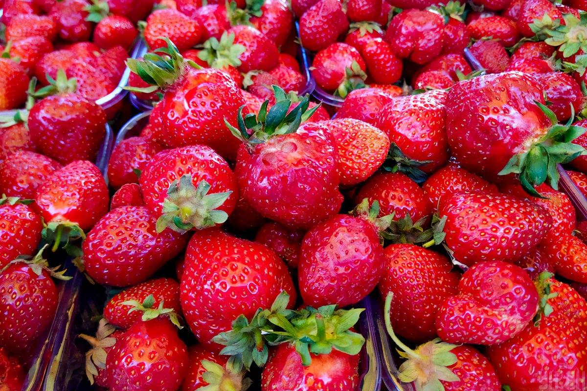 Vind een framboos in slechts 7 seconden / collage met Moje foto