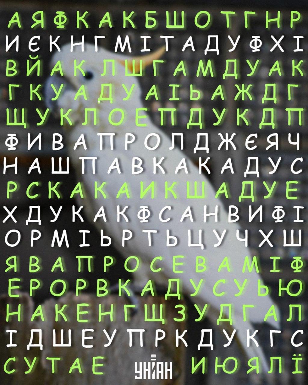 Moje collage Moje collage