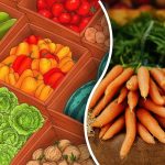 Alleen een genie vindt de wortel in 5 seconden: een