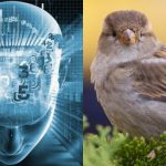 Alleen mensen met een fantastisch IQ vinden een mus in 11 seconden: een complexe optische illusie Alleen mensen met een fantastisch IQ vinden een mus in