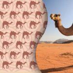 Alleen moderne Sherlock Holmeses zullen de vreemde kameel vinden: een