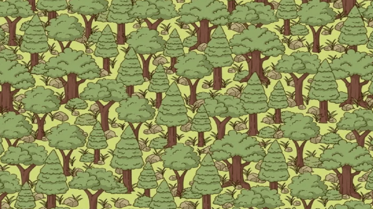 foto door Jagran Josh