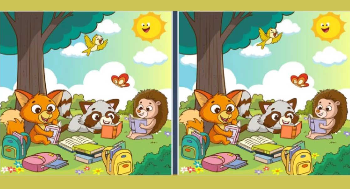 Interessante puzzel voor de scherpzienden: test jezelf in 22 seconden