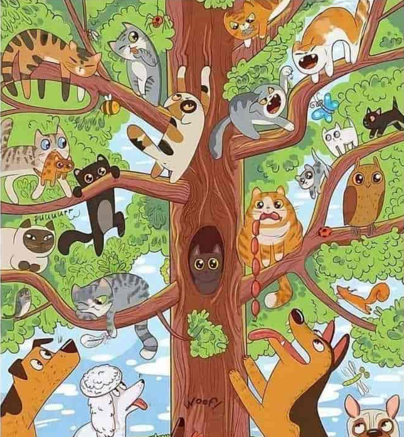 foto door Jagranjosh