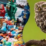 Gek raadsel voor de slimmeriken: je moet binnen 15 seconden