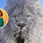 "Gesloten" of "sociaal" persoon: wat optische illusie over jou kan vertellen “Gesloten” of “sociaal” persoon: wat optische illusie over jou kan