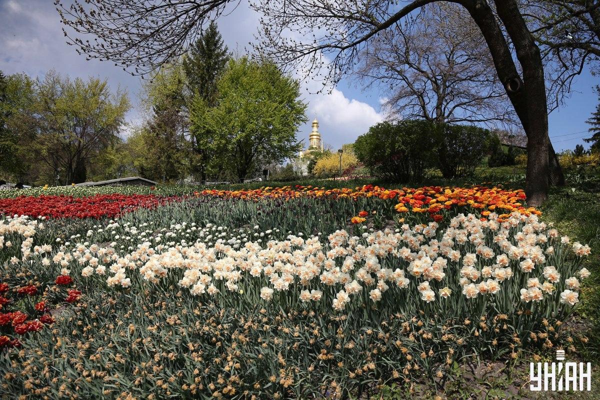 Vind de vogel in minder dan 10 seconden / collage Moje