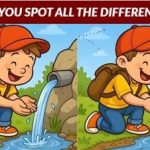 IQ test: vind 3 verschillen in de foto van de