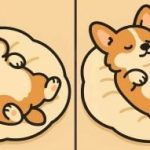 IQ-test: zoek 3 verschillen in een foto van een slapende