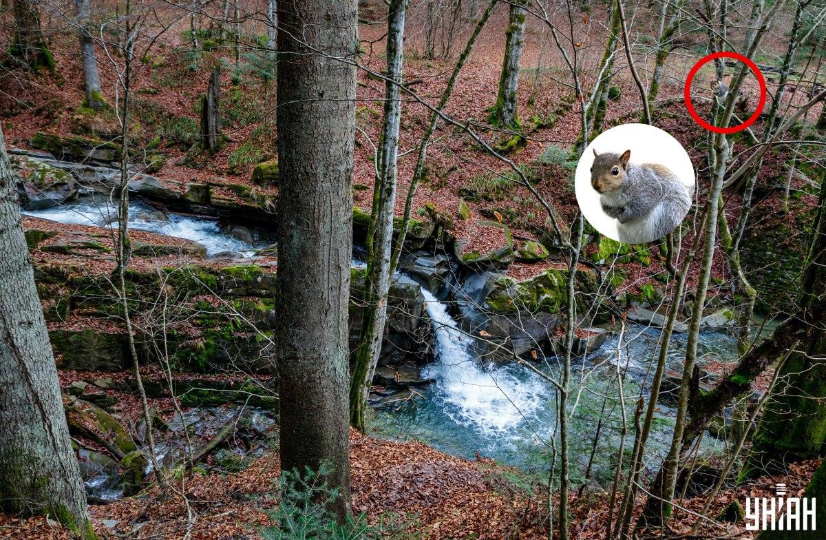 Moje collage, Moje foto, Nemes Janosz