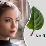 Je moet het woord raden dat in de afbeeldingen versleuteld is: slechts een paar kunnen de complexe rebus oplossen. Je moet het woord raden dat in de afbeeldingen versleuteld