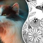 Niet iedereen kan in 5 seconden een kat vinden: het