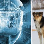 Slechts 2% van de heel slimme mensen kan je in