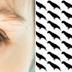 Slechts 5% van de mensen vindt de papegaai in deze optische illusie binnen 10 seconden Slechts 5% van de mensen vindt de papegaai in deze