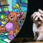 Slechts een paar kunnen het: alleen een echte detective kan een puppy vinden in 13 seconden. Slechts een paar kunnen het: alleen een echte detective kan