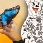 Slechts enkelen kunnen het: alleen genieën kunnen in 6 seconden een vlinder vinden tussen honden. Slechts enkelen kunnen het: alleen genieën kunnen in 6 seconden