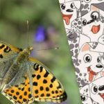 Slim als Sherlock of niet: een puzzel om je IQ