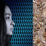 Truc puzzel: je moet een paard vinden tussen de rendieren