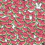 Uitdagende IQ-test voor genieën: vind vijf watermeloenen zonder pit in 15 seconden Uitdagende IQ-test voor genieën: vind vijf watermeloenen zonder pit in