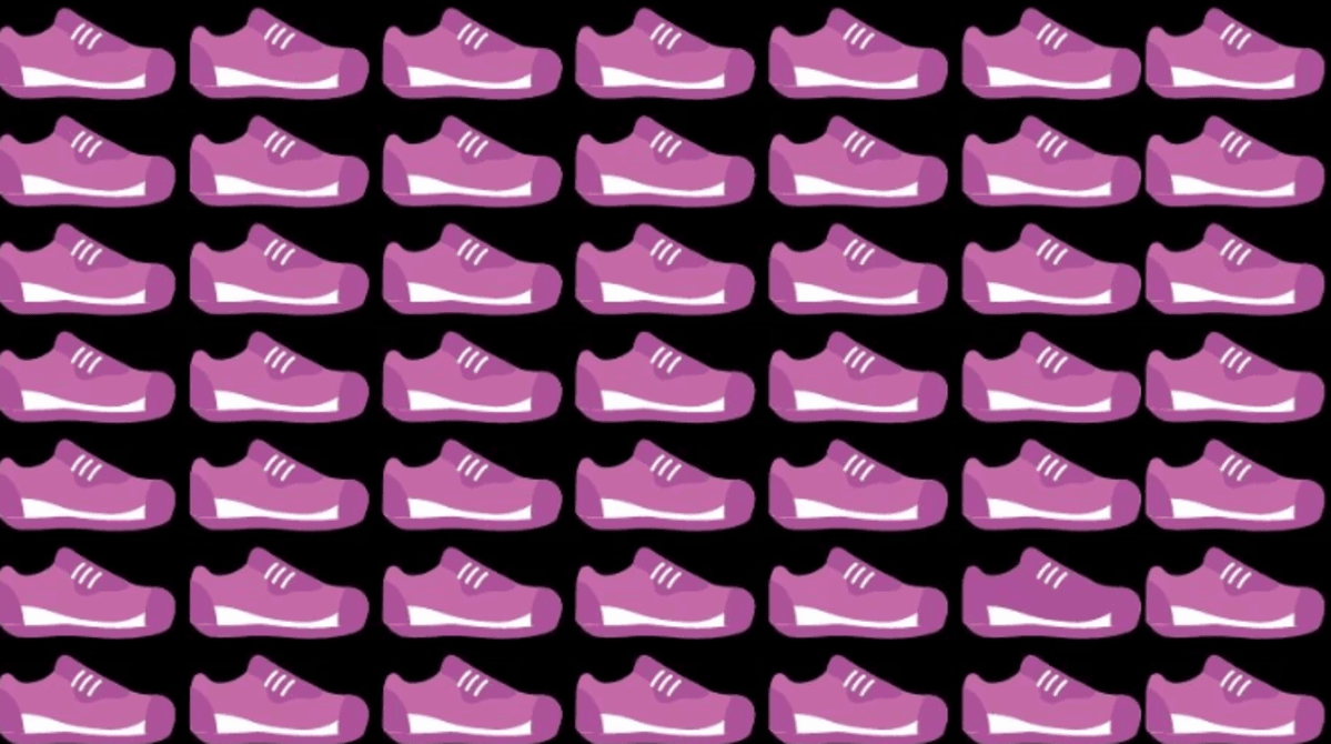 In de afbeelding moet je een unieke schoen vinden / foto fresherslive.com