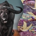 Vind de stier op de foto in 15 seconden: een