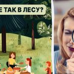 Vind in 5 seconden een insect in het bos: een