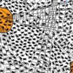 Virale puzzel voor wie ziet als een adelaar: je moet