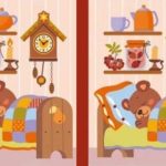 Wat is het verschil tussen twee kamers: je moet 8