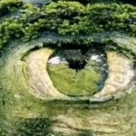 Wat je eerst zag: optische illusie laat zien hoe zelfverzekerd je bent Wat je eerst zag: optische illusie laat zien hoe zelfverzekerd