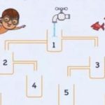 Welke kan is het eerst gevuld met water: een mindfulness