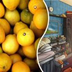 Zoek een citroen in 8 seconden: een puzzel voor mensen