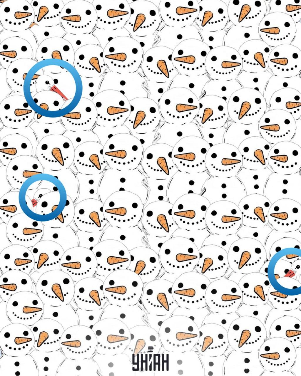 Vind 3 ooievaars tussen de sneeuwmannen in 11 seconden: een verbazingwekkende optische illusie