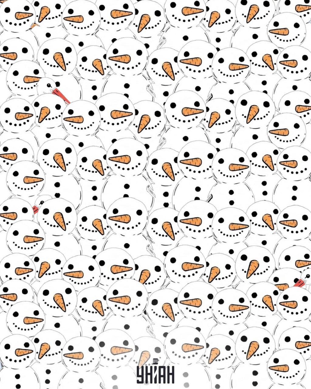 Vind 3 ooievaars tussen sneeuwpoppen in 11 seconden: een verbazingwekkende optische illusie